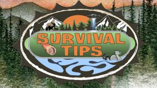 Survival Tips